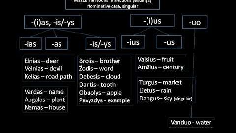 Lithuanian tutorial - nouns 2 (only slides)