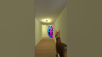 They trapped me in this tiny hallway with two killer face nextbots 😈🐱👻