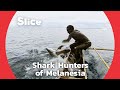 Boys catching sharks to become a man  slice