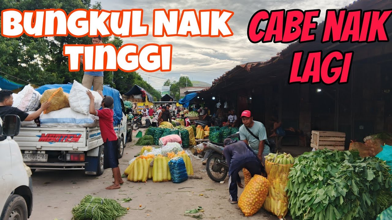Cabe Naik bungkul naik update harga terbaru pasar grosir ngronggo kota kediri