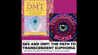 Sex and DMT: The Path to Transcendent Euphoria...and Quite Possibly the Next Step in Human Evolution