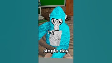 The Story of JmanCurly… #gorillatag #shorts #vr