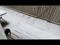 LET IT SNOW