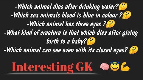 interesting GK questions with answers by DRM Rohingya Academy