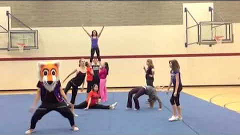Harlem Shake (cheer edition)