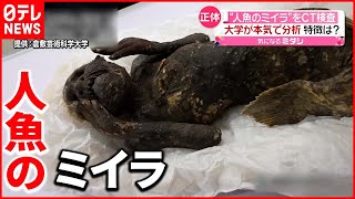 【伝説】CT検査で