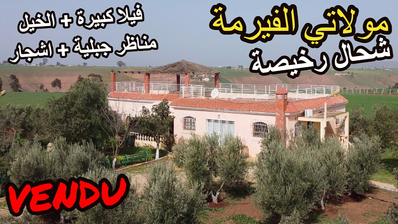 ✨ فيرمة رخيصة بزااف بفيلا كبيرة واسطبلات كبار والاشجار الكبيرة والمناظر البانورامية ✨ خريبكة