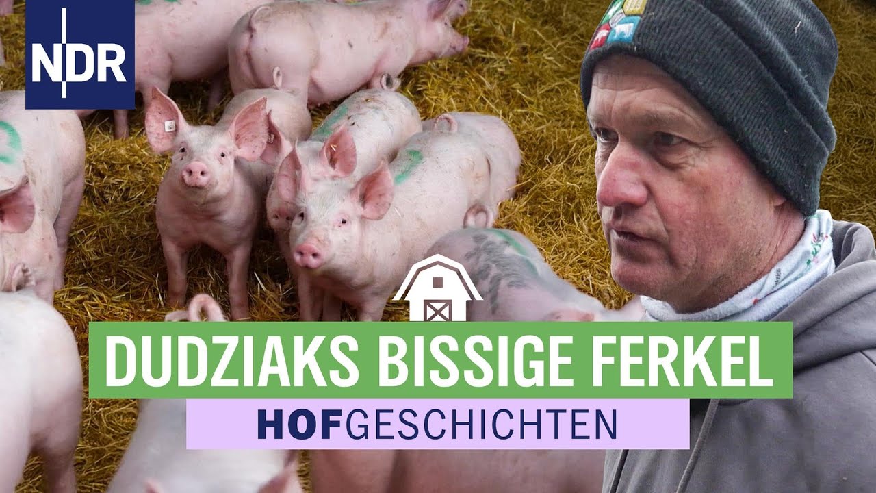 Von wegen niedlich: Beißende Ferkel auf dem Sophienhof Neustrelitz | Hofgeschichten (361) NDR
