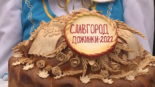 Областные «Дожинки-2022» прошли в Славгороде