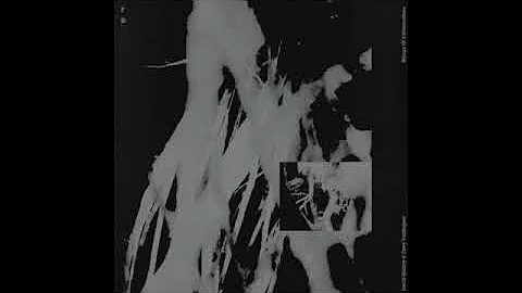 David Morley & Davy Vandegaer - The Why Of The Thi...