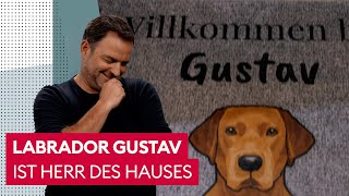 Prinz Gustav tanzt seinen Herrchen auf der Nase herum | Der Hundeprofi