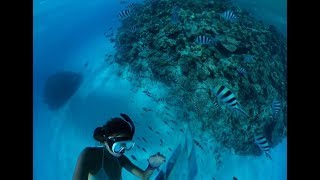 RICOH THETA V Sample video - Snorkeling