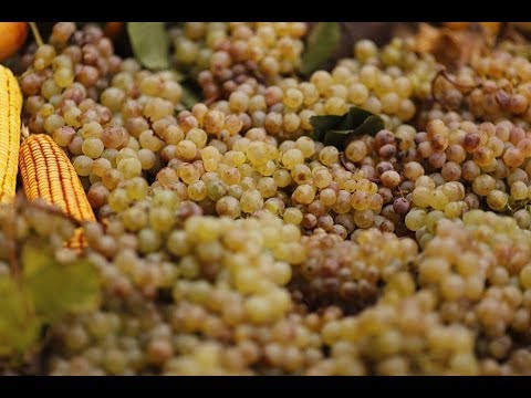 ენპარდის პირველი ფაზის დასკვნითი ღონისძიება_Final Event of ENPARD programme IPIN