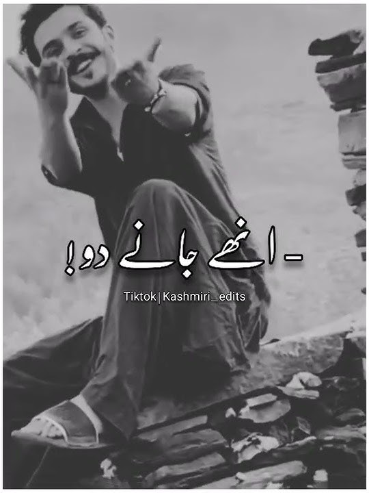 Khalifa Khan best  Sad Urdu Hindi Tiktok poetry Status | Sad Urdu Hindi Shayari WhatsApp status 2021