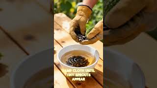 How to Plant Bitter Melon (Ampalaya) Step-by-Step | Grow More Bitter Gourd at Home Fast