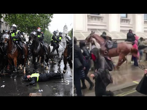 Horse bolts past crowd during clashes at London march | George Floyd protests