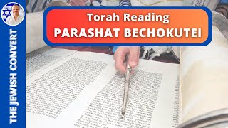 PARASHAT BECHOKUTEI | Weekly Torah Reading in Hebrew & English Translation | TORAH STUDY