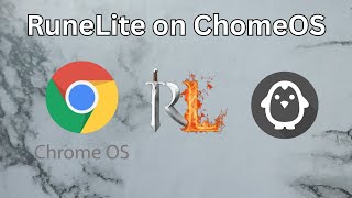 Running RuneLite on a ChromeOS Chromebook screenshot 3