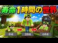 【マイクラ】1時間で死んでしまう世界が楽しすぎた【マインクラフト】【OHOL】【自作プラグイン】