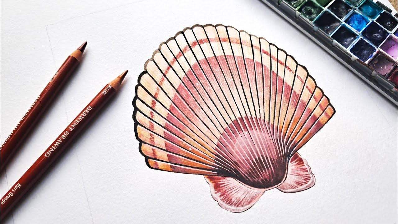 Lets Paint some shells with mixed media 🐚 - YouTube