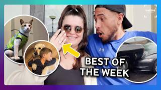The Best s On The Internet This Week