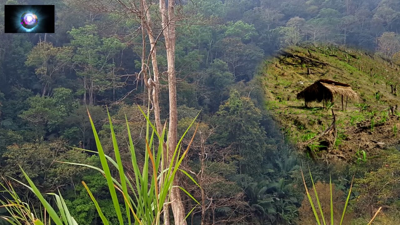 MUS ZOV NPLOOS TSOV THIAJ TOM/Macrh/7/2021