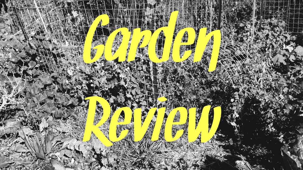 Garden review - YouTube