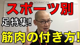 スポーツ別筋肉のつき方の違いをプロトレーナーが語ります!!　足特集!!!