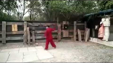 Shaolin Rope dart playing|| shifu #师傅 || #玩飞镖