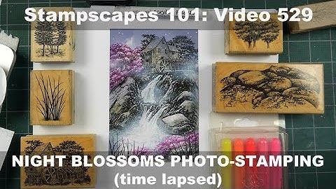 Stampscapes 101: Video 529 Night Blossoms PHOTO-STAMPING (time lapse)