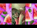 Big Bank Challenge Tiktok Tiktokchallenge Viralvideo