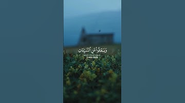 وهو الذي يقبل التوبة من عباده [#قران كريم بصوت القارئ إسلام صبحي
