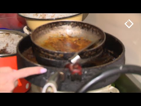 ვიდეო: კარნავალი თავისუფლება - სასადილო და სამზარეულო