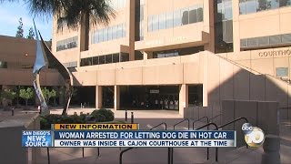 Police said woman let her dog die in hot car with windows rolled up