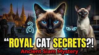 The Royal Secrets of Siamese Cats 👑🐱 Blue Eyes, Legends & Hidden History! #cats #catlife #catsincare