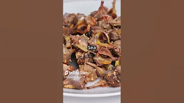 Sea Snail vs Land Snail! #Documentary #SeaSnail #LandSnail #Nature#EpicShowdown#Mollusks#SnailBattle