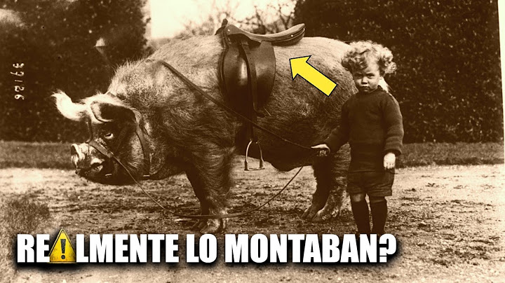 Fotos Prohibidas que Revelan Verdades Brutales de la Historia (Jamás Vistas)
