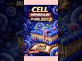 cell membrane one short learn within seconds!!! #biology #biotechnology #science #neet #neet 2026