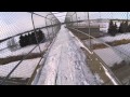 GoPro Line of the Winter: Dan Brisse - Minnesota 1.6.15 - Snow