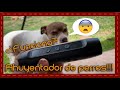 Ahuyentador de perros portátil Entrenador ultrasónico de doble canal para  perros TUNC Sencillez