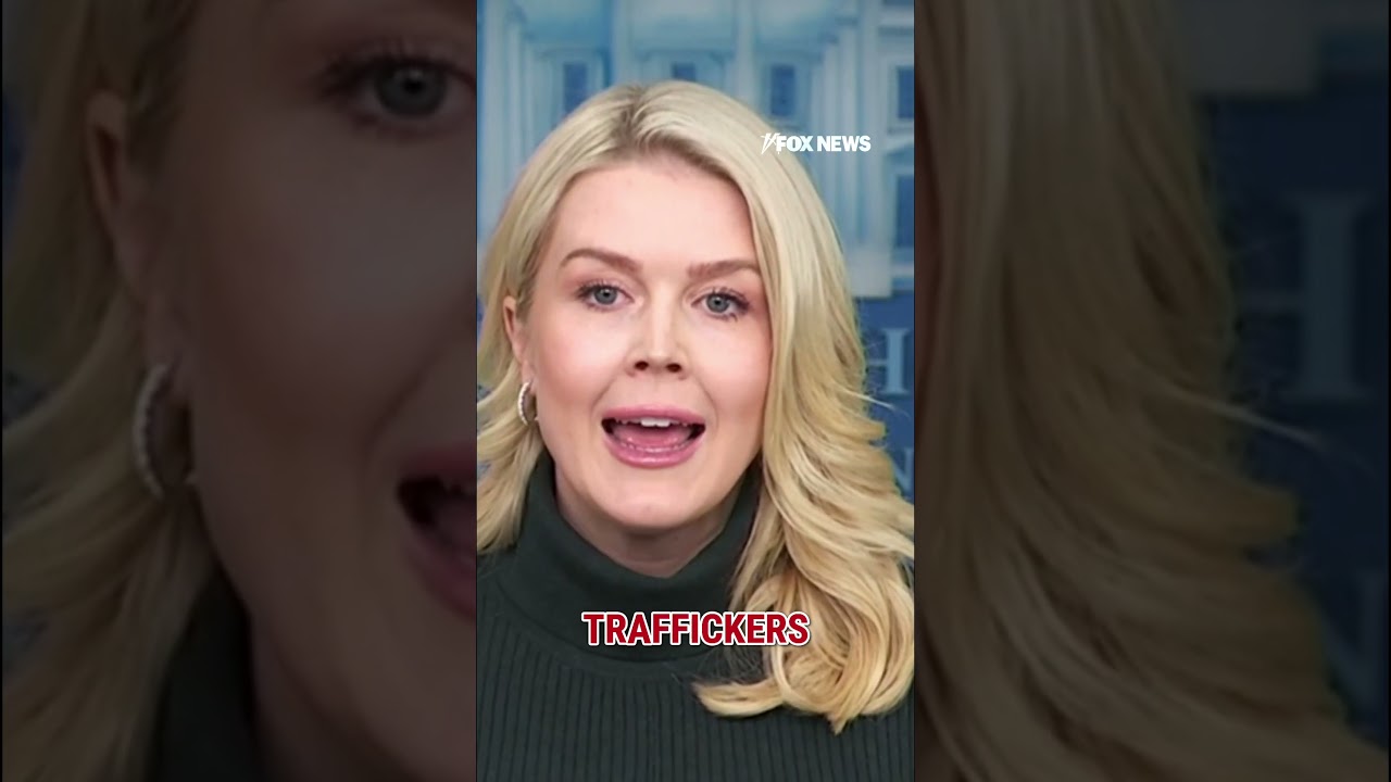 Leavitt: Minnesota Dems’ ‘wrong and illegal’ obstruction led to tragedy #shorts #us #news #ICE