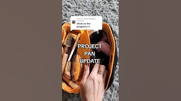 project pan UPDATE January 2025 👀