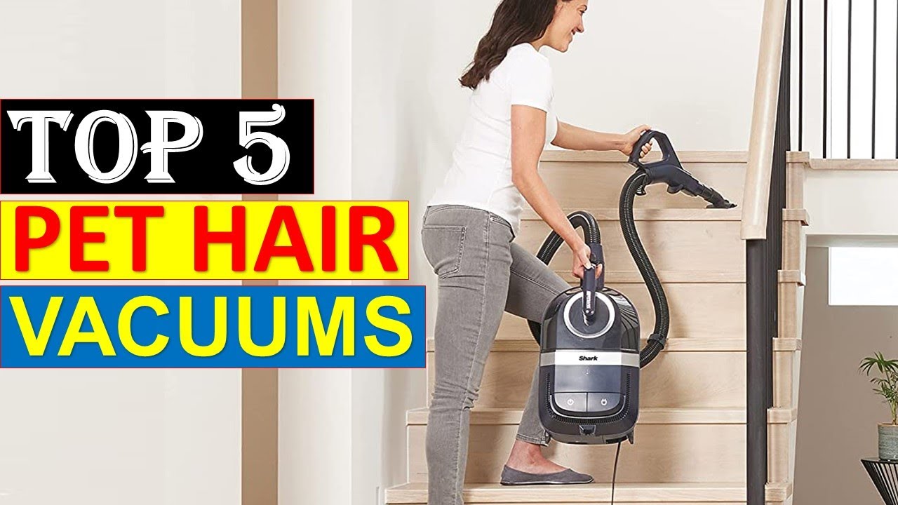 Top 5 Best Pet Hair Vacuums in 20222023 { Review } YouTube