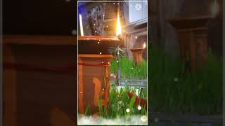 arug kalsa new jas geet status cg navratri special