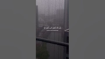 مَا سَلَكَكُمْ فِي سَقَرَ - القارئ:  شريف مصطفى💘.