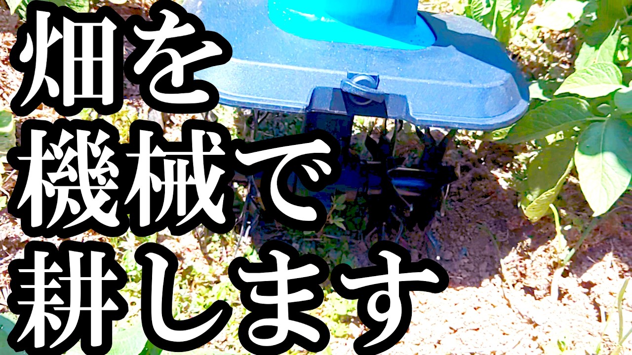 自然農家 機械で畑を耕します