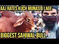 BIGGEST Sahiwal Bull of Malir Mandi | Munasib Cattle RATES & BARGAINING at Malir Cow Mandi 2020