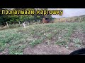 съездила в больницу /прополола  картошку / купаюсь в бассейне /Виталик и Ангелина