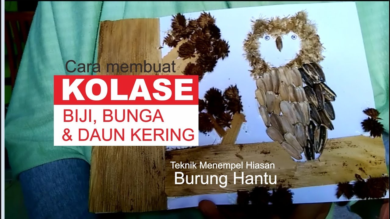  Cara  Membuat  Hiasan Kolase Burung  Hantu  dari  biji bunga 