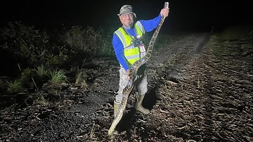 The Famous Everglades Speed Bump